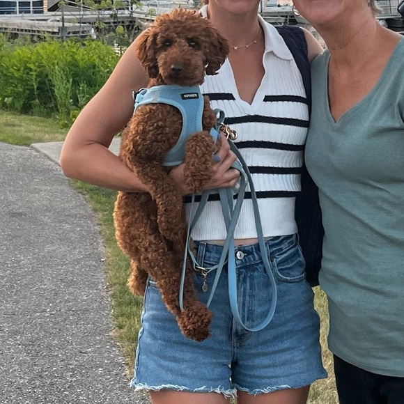 old navy polo striped sweater tank top - Picture 2 of 2